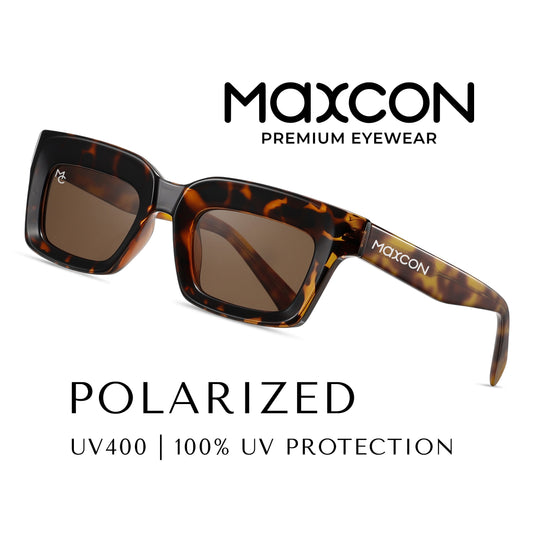 BRODWEY | Desert Tortoise